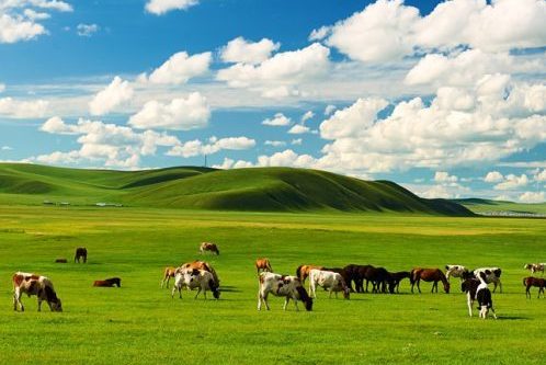 Inner Mongolia