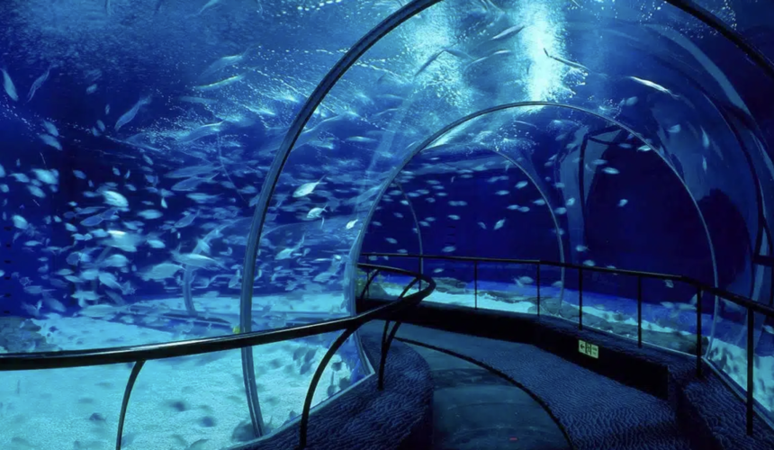 A large aquarium showcasing marine life from around the world, with a notable underwater tunnel.
