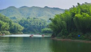 Panoramic view of Shunan Bamboo Forest in Yibin, Sichuan, with mist-covered trails and dense green bamboo groves.