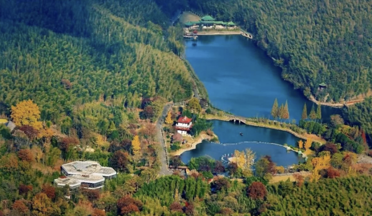A Traveler’s Guide to the Best Bamboo Forests in China