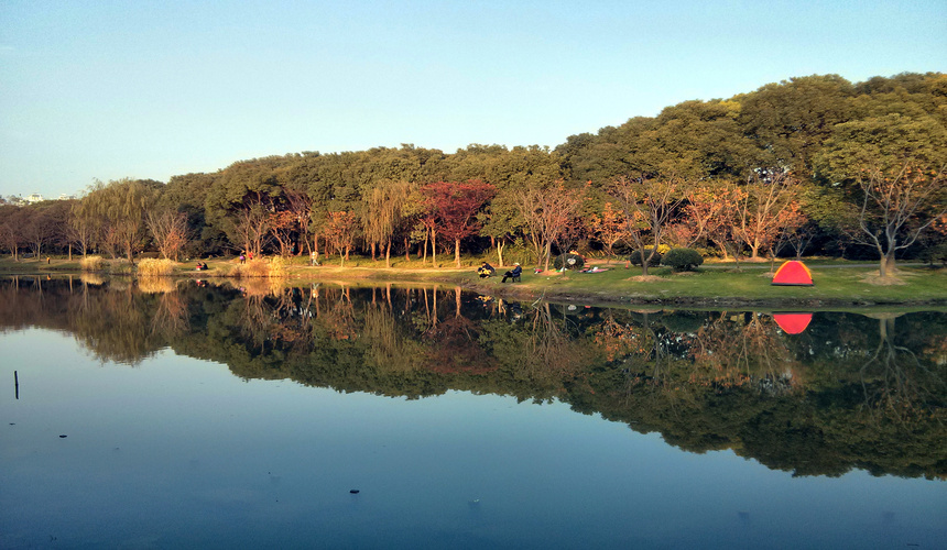 A spacious urban park with lakes, gardens, walking trails, and recreational areas.