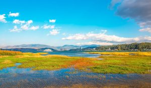 Peaceful lakeside view with Cangshan Mountains in the background at Erhai Lake near Dali, Yunnan