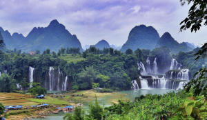 Wide, multi-tiered Detian Waterfall surrounded by dense tropical forest in Guangxi, China.