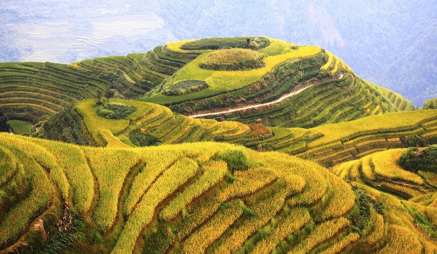 Layered green rice terraces carved into mountainsides at Longji in Guangxi Province