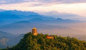 Lush, mist-covered forest and ancient Taoist temple on Mount Qingcheng, Sichuan Province.