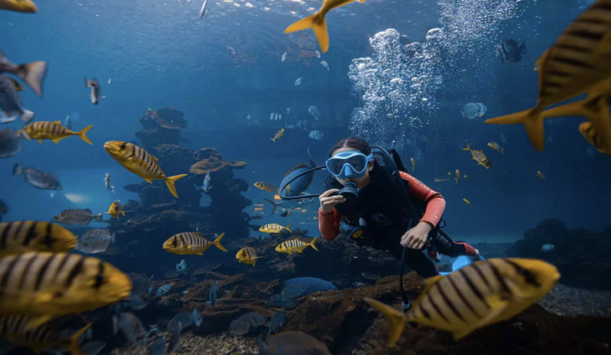 Diver exploring coral reefs and tropical fish in clear waters near Sanya, Hainan