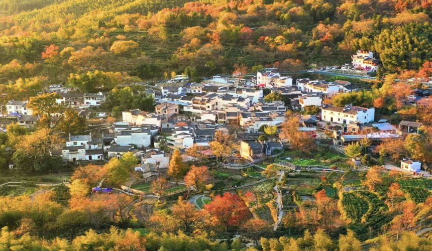 Picturesque autumn landscape with vibrant red and orange trees in Tachuan Village, Anhui