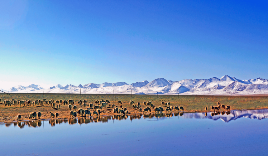 Clear skies and mountain views during spring and autumn, the best seasons to visit Tibet.