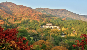 Autumn foliage covering the hills of Xiangshan (Fragrant Hills) Park in Beijing