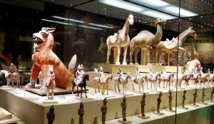 Exhibit hall of the Xinjiang Regional Museum displaying ancient Silk Road artifacts and ethnic costumes