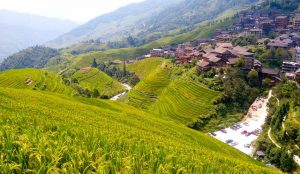 Sweeping Longji Rice Terraces layered across green mountain slopes.