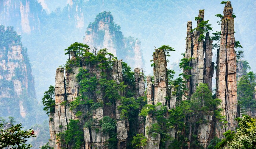 Lush forest and towering peaks in Zhangjiajie National Forest Park