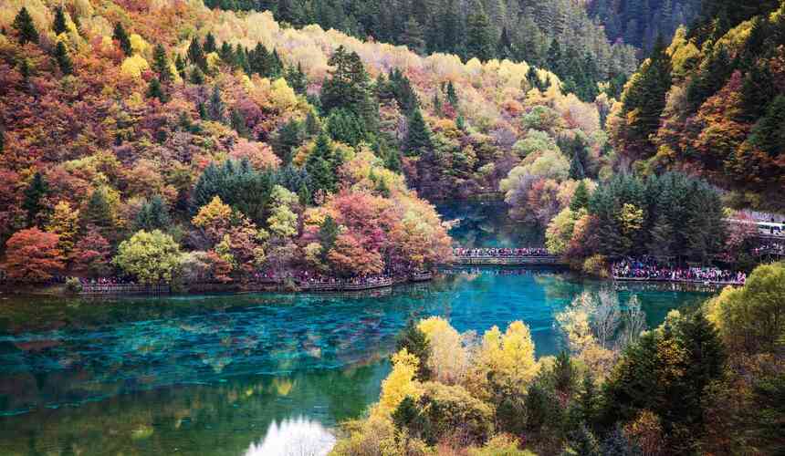 Colorful autumn leaves in China’s countryside