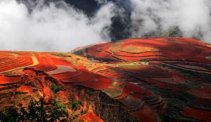 Rolling hills of Dongchuan Red Land in Yunnan with vivid red and orange soil under a clear sky.