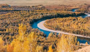 Expansive Hulunbuir Grassland in Inner Mongolia with golden autumn grasses under a blue sky.