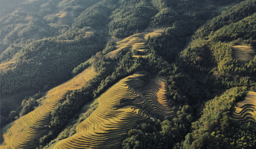 Tiered Longsheng Rice Terraces in Guilin glistening under autumn sunlight.
