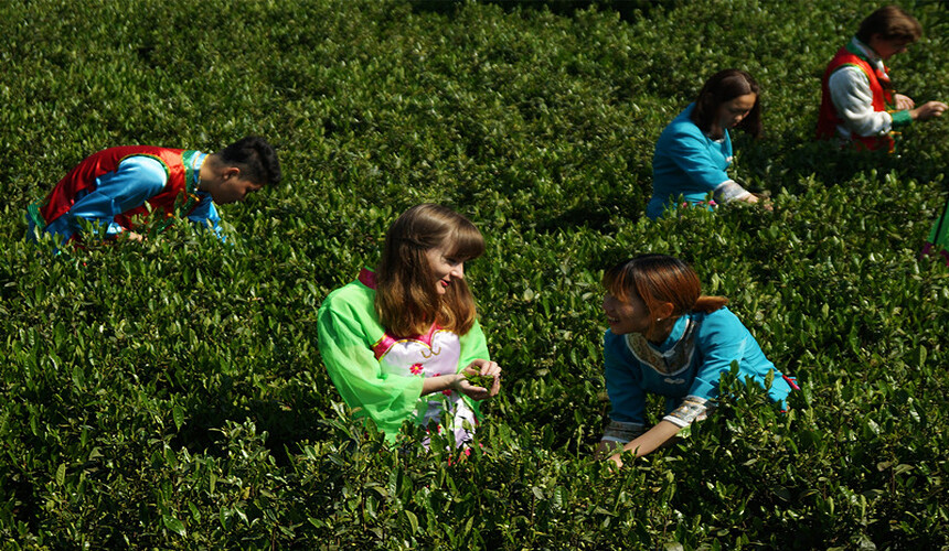 Must-try cultural experiences in China including tea ceremonies, calligraphy, kung fu, and traditional cuisine.