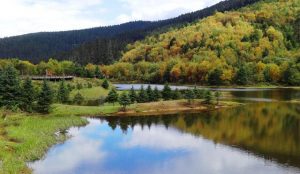 Autumn forests and serene lakes in Pudacuo National Park, Shangri-La, Yunnan.