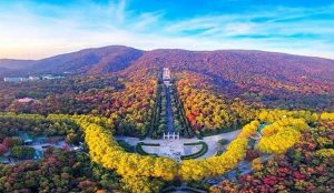 Panoramic view of Purple Mountain in Nanjing during autumn, with colorful trees and misty hills.