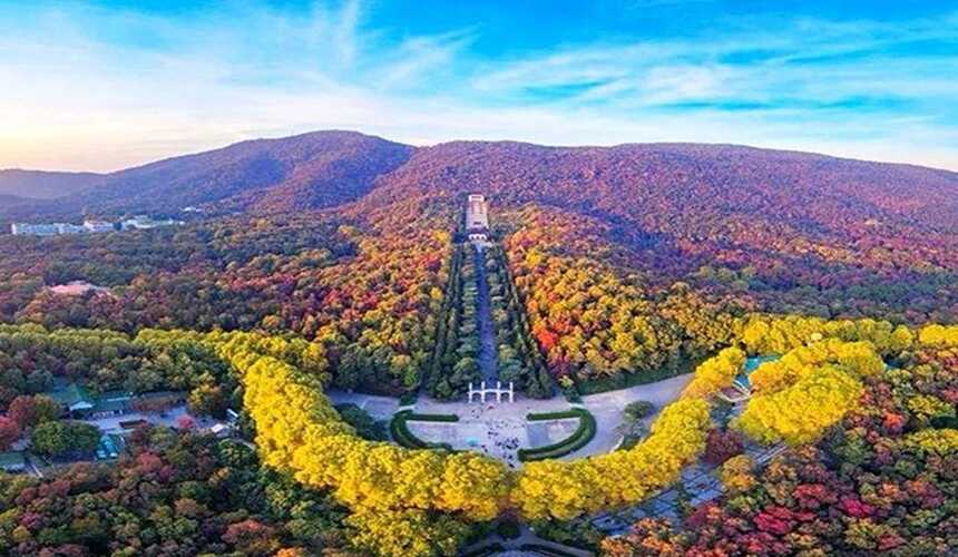 Panoramic view of Purple Mountain in Nanjing during autumn, with colorful trees and misty hills.