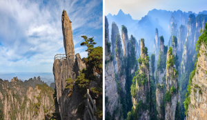 Scenic view of Zhangjiajie’s towering sandstone pillars alongside Huangshan’s misty granite peaks in China.