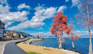 Cyclists riding through scenic countryside roads in Yunnan surrounded by mountains and farmland.