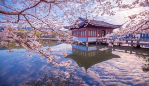 West Lake in Hangzhou with willow trees and early spring blossoms.