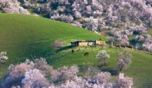 Vast desert landscapes and mountains in Xinjiang, China travel destination