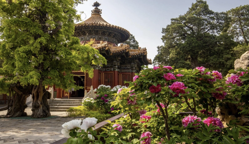 Scenic Imperial Garden in the Forbidden City with ancient trees, decorative pavilions, stone pathways, and classical Chinese landscaping.