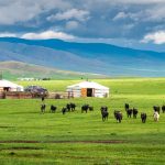 Vast landscapes of Inner Mongolia featuring rolling grasslands, deserts, and nomadic cultural scenery in northern China