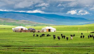 Why Inner Mongolia’s Endless Grasslands Are the Perfect Summer Escape