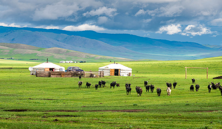Vast landscapes of Inner Mongolia featuring rolling grasslands, deserts, and nomadic cultural scenery in northern China