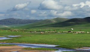 Vast rolling green grasslands and rivers in Hulunbuir, Inner Mongolia