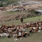 Panoramic landscape of western China featuring mountains, grasslands, deserts, and remote wilderness stretching to the horizon