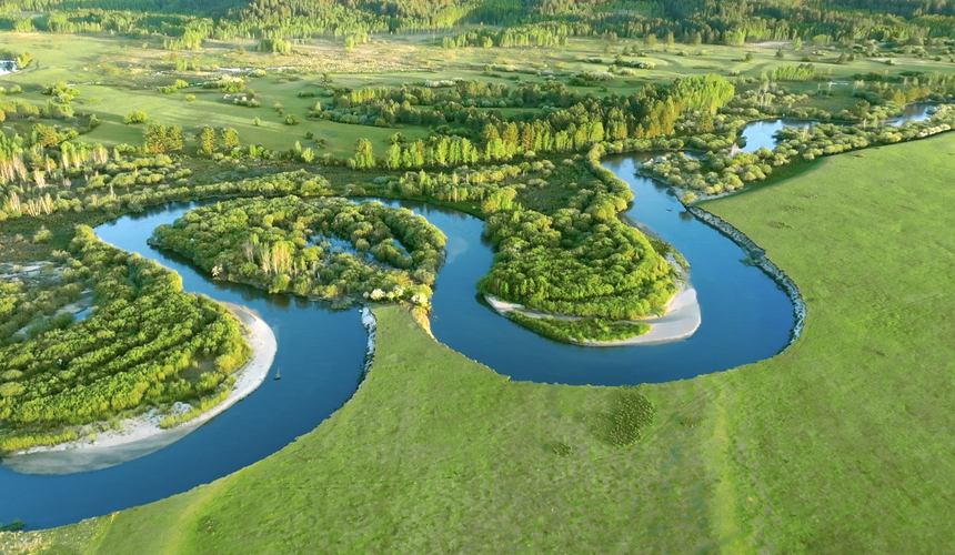 Endless green grasslands with grazing horses under blue skies in Inner Mongolia