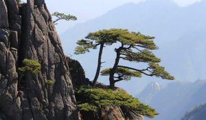 Majestic mountain in China with towering peaks, green valleys, and breathtaking natural scenery.