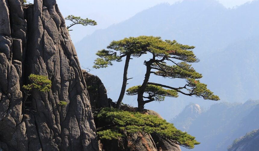 Majestic mountain in China with towering peaks, green valleys, and breathtaking natural scenery.