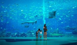 Visitors exploring marine life exhibits at The Lost Chambers Aquarium in Sanya, China