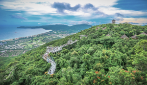 Lush tropical rainforest landscape in Sanya, Hainan Island, China