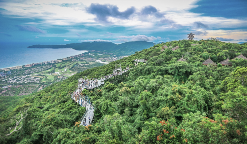 Lush tropical rainforest landscape in Sanya, Hainan Island, China