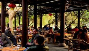 Visitors enjoying tea at a traditional teahouse in People's Park, Chengdu's favorite local gathering place.