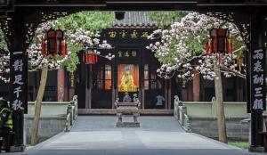 Ancient halls and peaceful gardens at Wuhou Shrine, one of Chengdu's most famous historical landmarks.